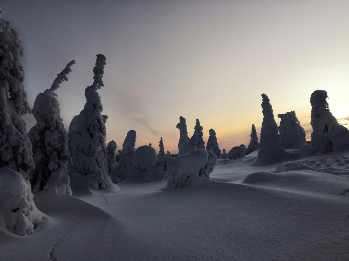 Kelokallas 2 Ruka Esterno foto