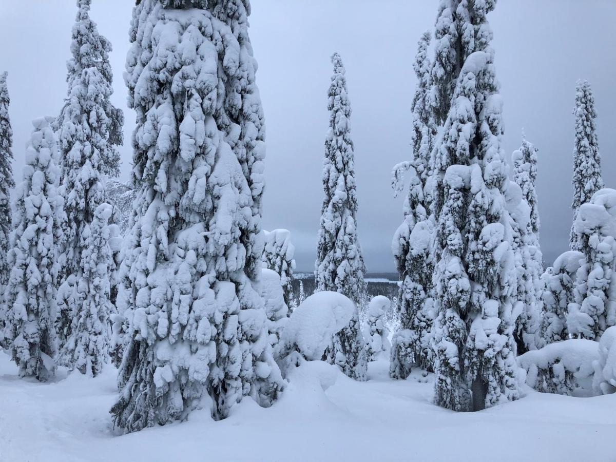 Kelokallas 2 Ruka Esterno foto